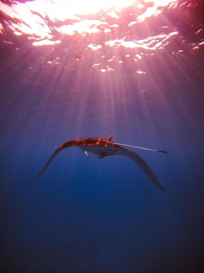 Shallow Lagoon Rasdhoo Exterior foto